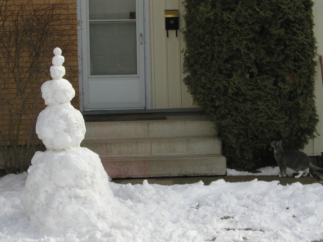 A snow-thing, and our cat.