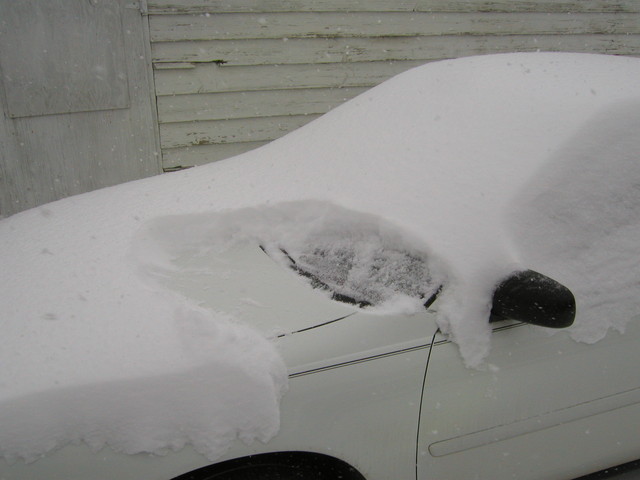 Wasn't supposed to snow last night, or I'd have put it in the garage.