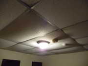 Hanging ceilings in a humid climate may not be a great idea