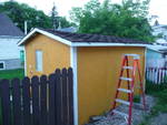 Highlight for Album: Reshingling my shed