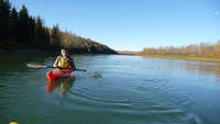 Highlight for Album: Kayaking the North Saskatchewan