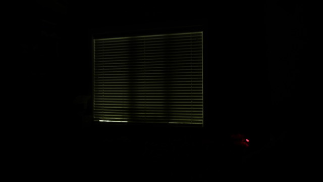 Bedroom (blinds closed)