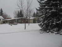 Sat 11 Mar 2006 14:23:40 MST
Edmonton - a pile of snow!