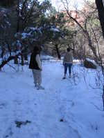 Mon 13 Mar 2006 14:36:36 MST
Boynton Canyon hike.