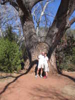 Wed 15 Mar 2006 15:01:03 MST
John and Stella. The Wedding Tree. Red Rock State Park