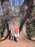 Wed 15 Mar 2006 15:01:46 MST
Joe and Margaret. The Wedding Tree. Red Rock State Park