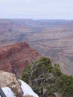 Thu 16 Mar 2006 11:45:56 MST
The Grand Canyon