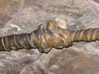 Thu 16 Mar 2006 17:22:39 MST

Sinew covered hand rail inside Watch Tower Lookout at Yaki Point, Grand Canyon