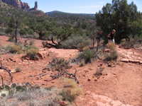 Fri 17 Mar 2006 11:57:26 MST
Courthouse Butte Loop Trail