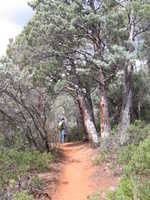 Tue 21 Mar 2006 11:11:01 MST
Soldier Pass Trail