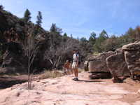 Thu 23 Mar 2006 10:40:10 MST
Girdner Trail