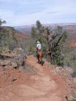 Sat 25 Mar 2006 12:20:14 MST
Cowboy and horse at top of Turkey Creek Trail