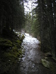 As it's so warm, the trail gets somewhat icy.  It takes 20 seconds to get up here, but 5 minutes to get down it on the way back.