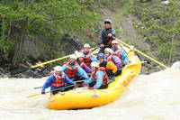 Highlight for Album: Rafting the Kicking Horse near Golden