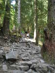 Up grouse mountain trail "The Grind".  I would have gotten a picture of the trail head marker, had I known it would take way more than an hour.  Pat.