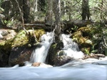 Pat didn't go on the second bit of the hike, but he has these neat long-exposure shots of water to show for it.