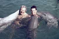 Swimming with the dolphins