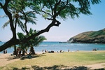 Hanauma Bay - More panning